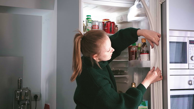 donna sistema guarnizione frigo