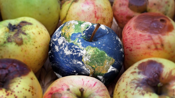 mele di vari colori una con il colore del globo terrestre