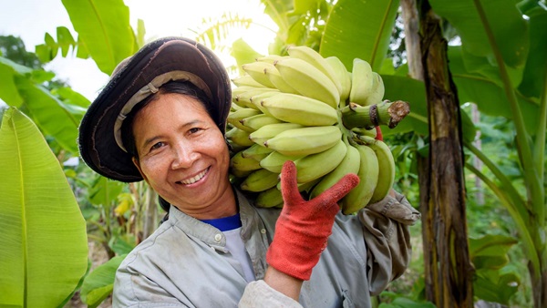 donna con casco di banane