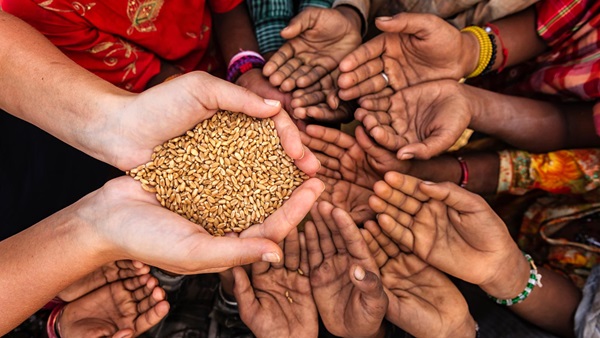 mani che porgono cereali