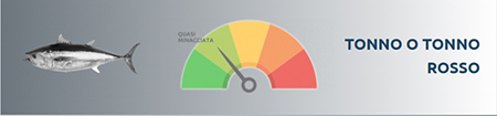 tonno e tonno rosso