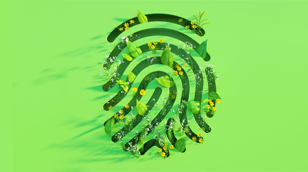 impronta verde