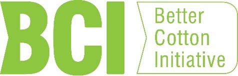 logo bci