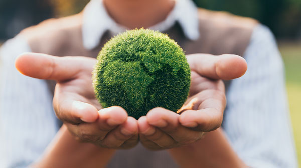 persona tiene nelle mani un muschio a forma di pianeta terra