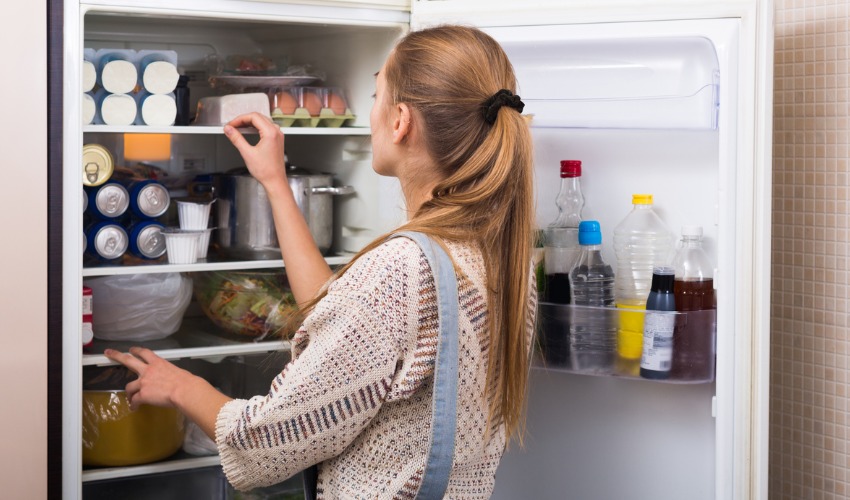Termometro digitale per frigo e freezer - eBuò megastore